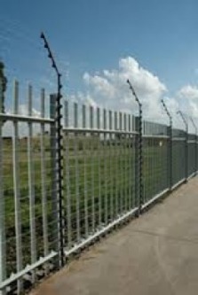 gallery/electric fence pigyback to palisade